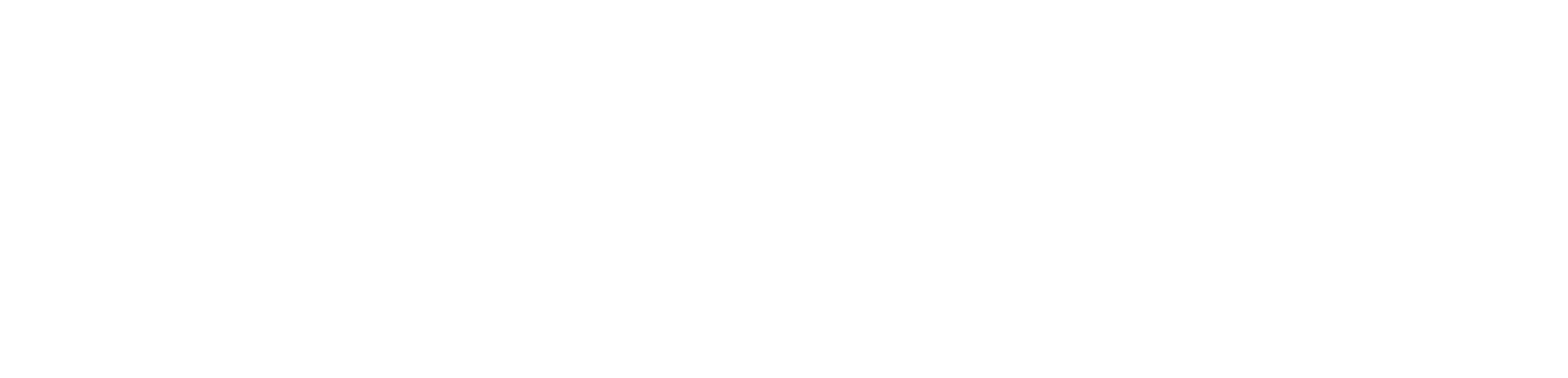 TikTok Logo